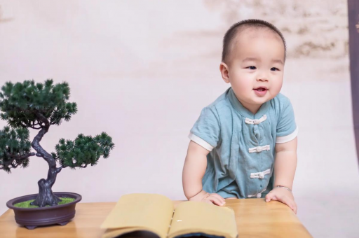 乳山可爱的企鹅宝宝